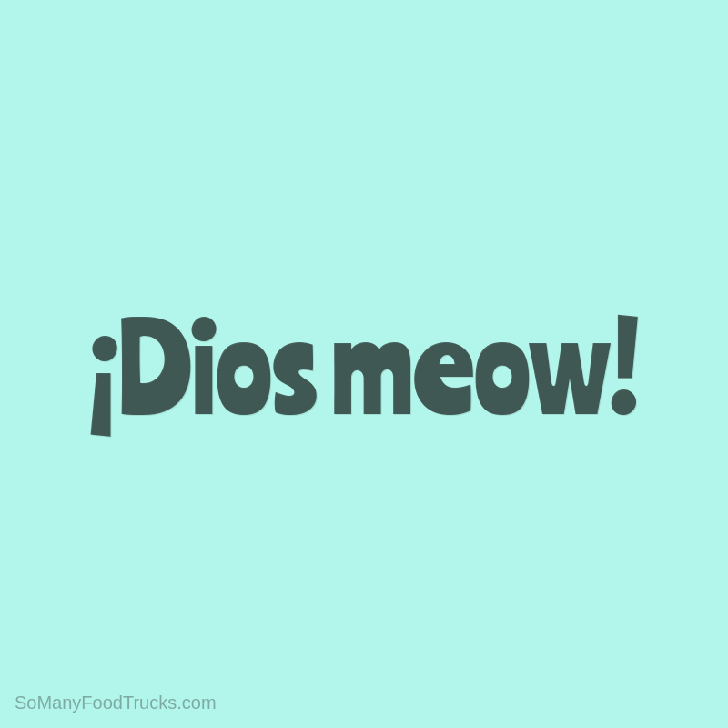 ¡Dios meow!